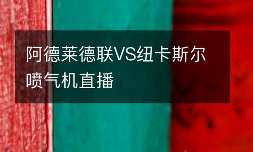 阿德萊德聯(lián)VS紐卡斯?fàn)枃姎鈾C(jī)直播