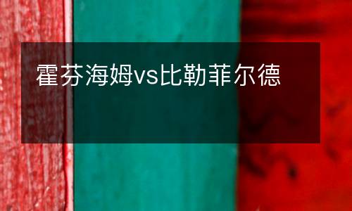 霍芬海姆vs比勒菲爾德