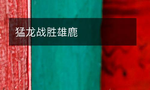 猛龍戰(zhàn)勝雄鹿