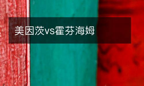 美因茨vs霍芬海姆